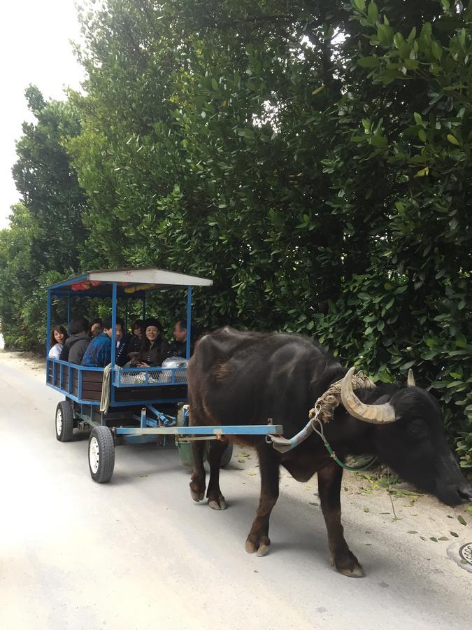 Sou Inn Motobu Dış mekan fotoğraf